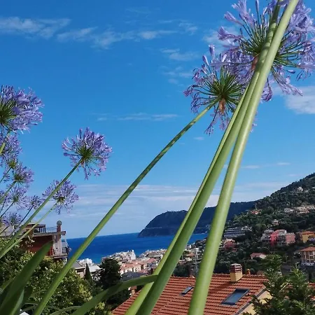 Panoramic View *